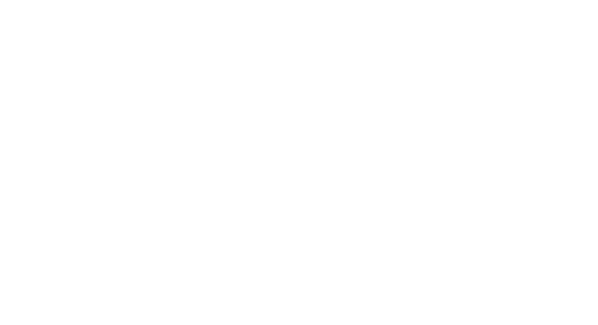 WSEG